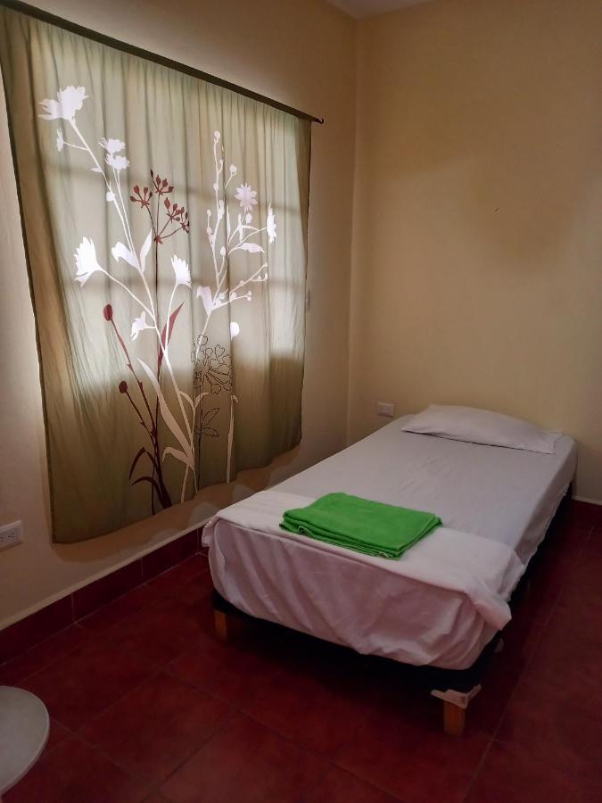 Hostal Don Gato Гранада Экстерьер фото